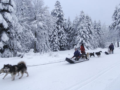L'activité nordique emblématique L'activité nordique emblématique